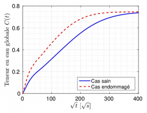 Figure 4 FIRMAIN