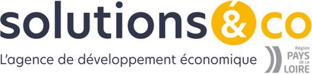 Solutions & co logo