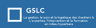 Logo GSLC