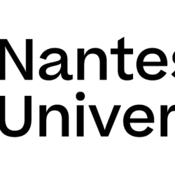Logo UN