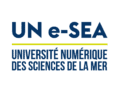 UN e-Sea