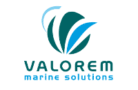 VALOREM logo