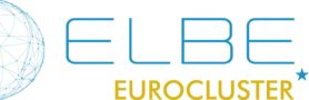 logo ELBE Eurocluster
