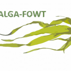 logo alga fowt